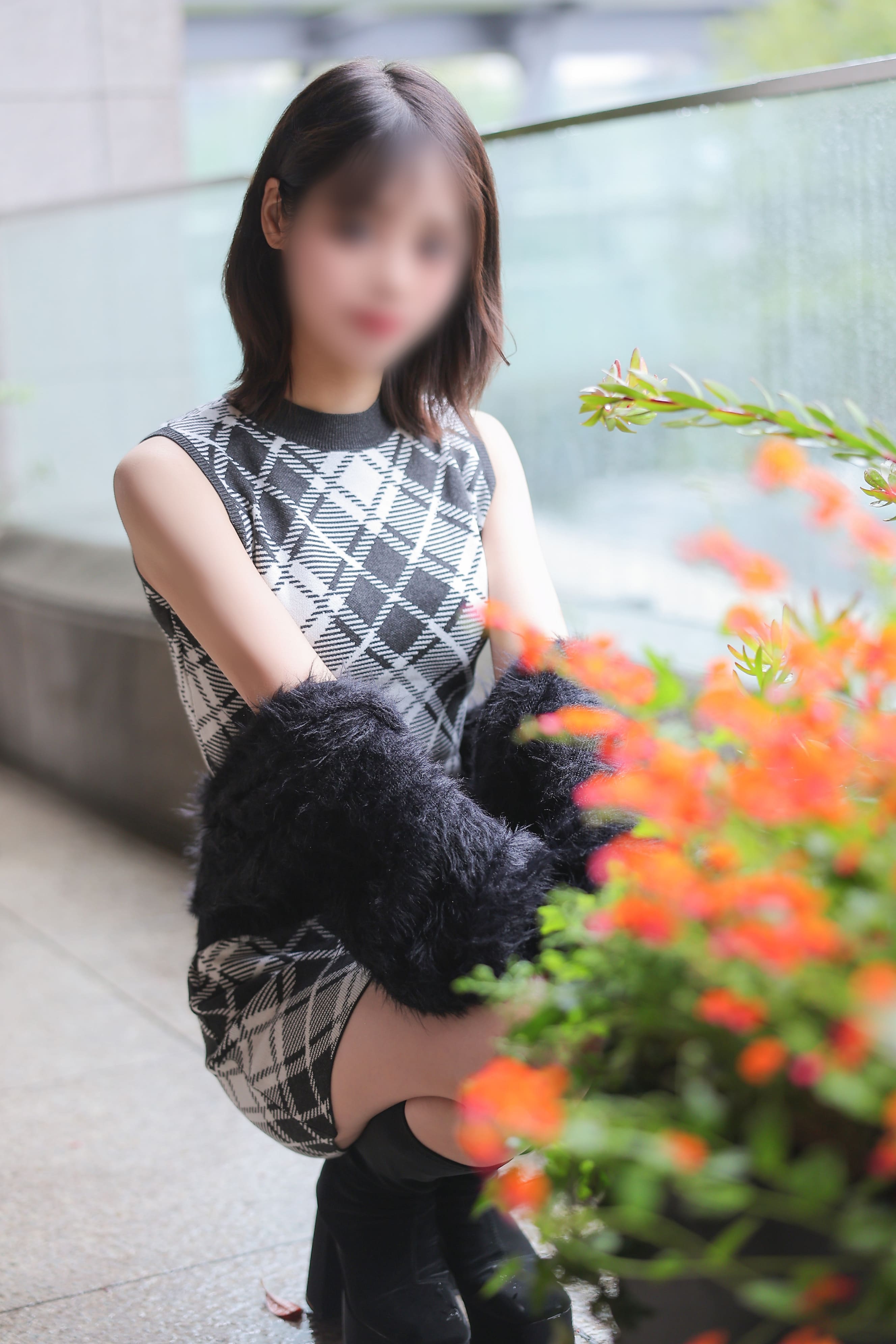 百菜の写真 4